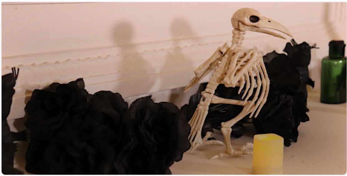 Spooky skeleton of a raven sits on a mantle. 